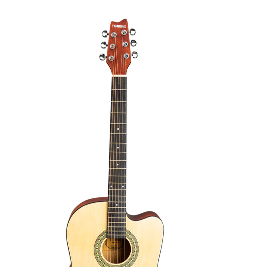 Torrins Progressa series F39 Acoustic Guitar | Matte Finish