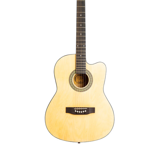 Torrins Progressa series F39 Acoustic Guitar | Matte Finish