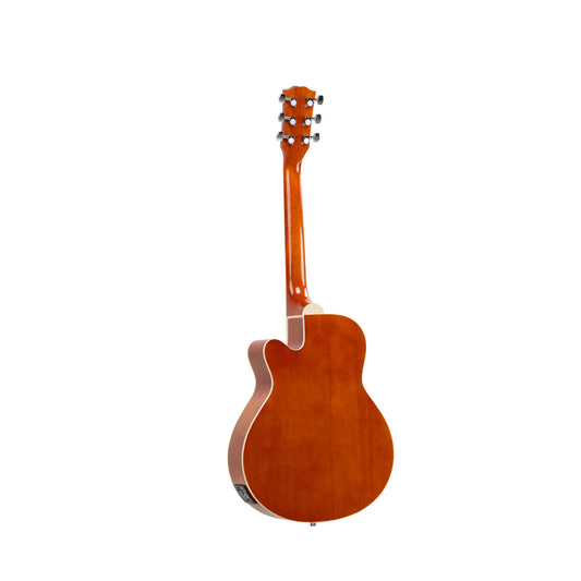 Torrins Progressa Series Guitar: 3610