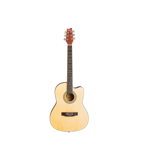 Torrins Progressa series F39 Acoustic Guitar | Matte Finish