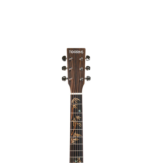 Torrins Progressa Series Solid Top Acoustic Guitar – ED 60