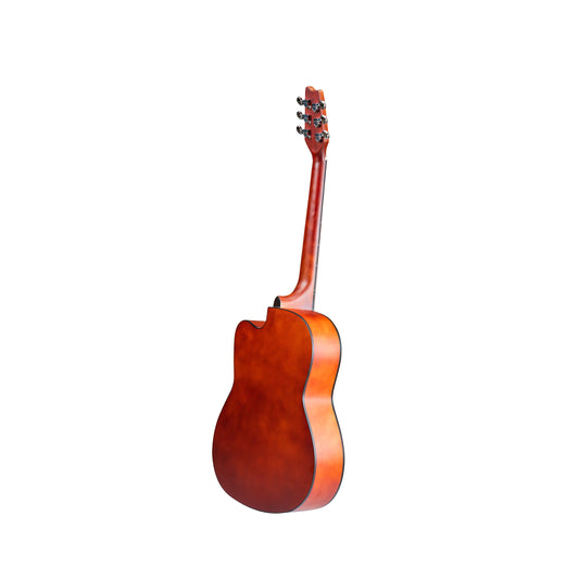 Torrins Progressa series F39 Acoustic Guitar | Matte Finish