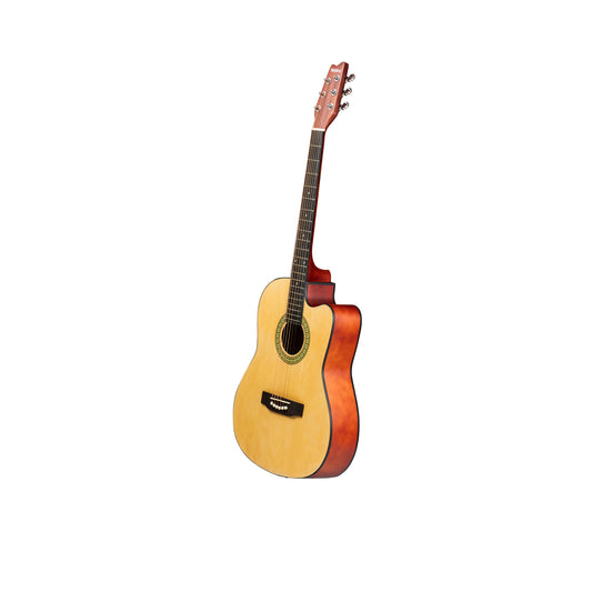Torrins Progressa series F39 Acoustic Guitar | Matte Finish