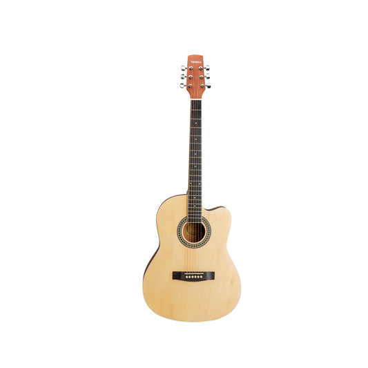 Torrins Progressa series F39 Acoustic Guitar | Matte Finish