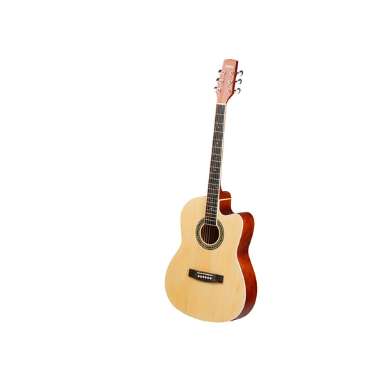 Torrins Progressa series F39 Acoustic Guitar | Matte Finish