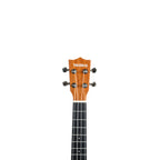 Torrins Progressa Series Mahogany Ukulele, 24 Inch, Brown Matte Finish