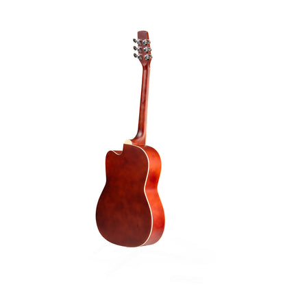Torrins Progressa series F39 Acoustic Guitar | Matte Finish