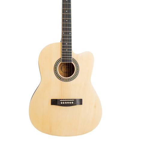 Torrins Progressa series F39 Acoustic Guitar | Matte Finish