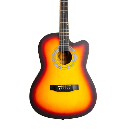 Torrins Progressa series F39 Acoustic Guitar | Matte Finish