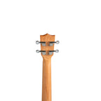 Torrins Progressa Series Mahogany Ukulele, 24 Inch, Brown Matte Finish