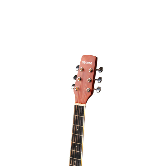 Torrins Progressa series F39 Acoustic Guitar | Matte Finish