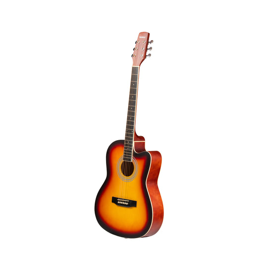 Torrins Progressa series F39 Acoustic Guitar | Matte Finish