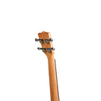 Torrins Progressa Series Mahogany Ukulele, 24 Inch, Brown Matte Finish