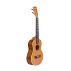 Torrins Progressa Series Mahogany Ukulele, 24 Inch, Brown Matte Finish