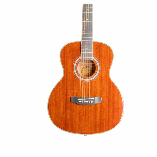 Torrins Progressa Series Acoustic Guitar: GS31