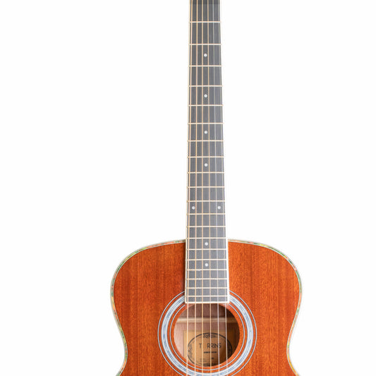Torrins Progressa Series Acoustic Guitar: GS31