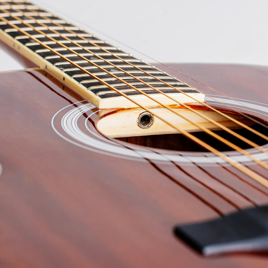 Torrins Progressa Series Acoustic Guitar: GS31