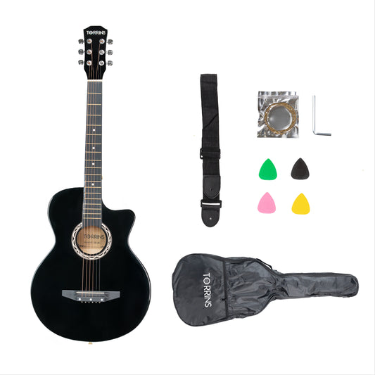 Torrins Progressa Series Guitar: C38