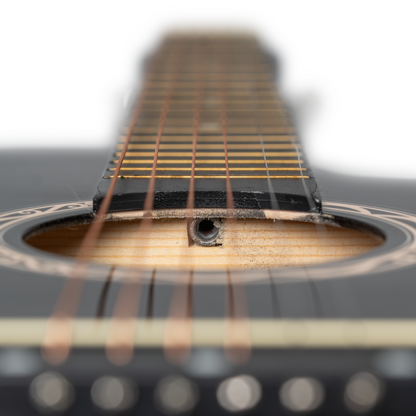 Torrins Progressa Series Guitar: C38