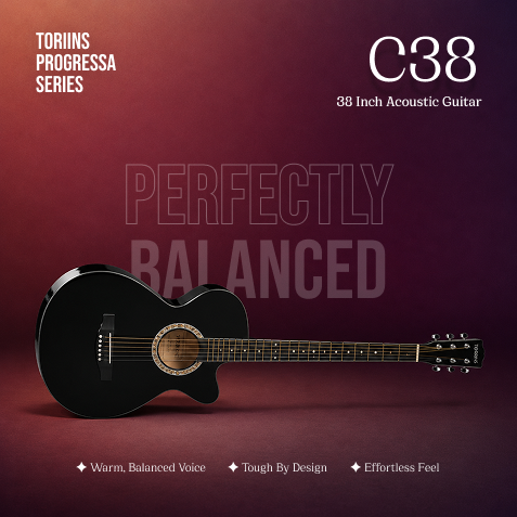 Torrins Progressa Series Guitar: C38
