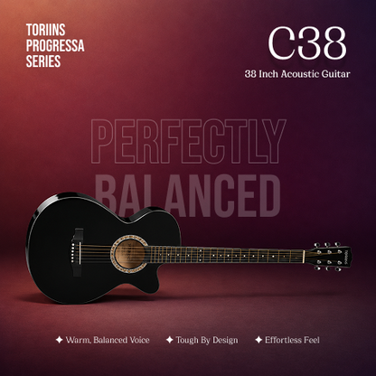 Torrins Progressa Series Guitar: C38