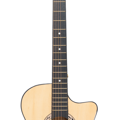 Torrins Progressa Series Guitar: C38