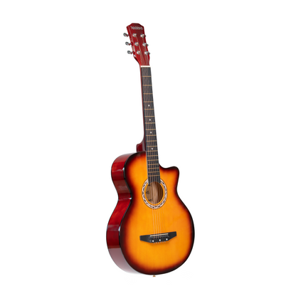 Torrins Progressa Series Guitar: C38