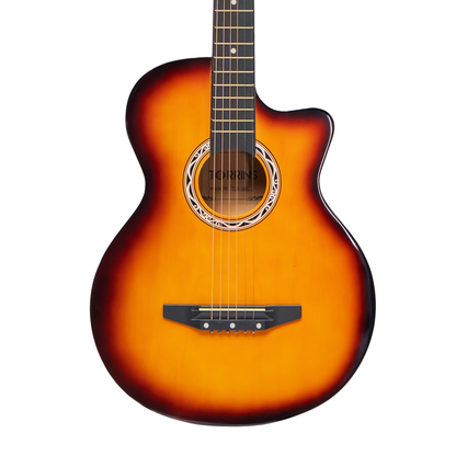 Torrins Progressa Series Guitar: C38