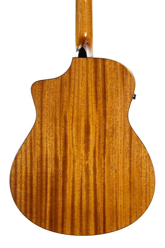 Torrins Elevate Series Solid Top Guitar STG