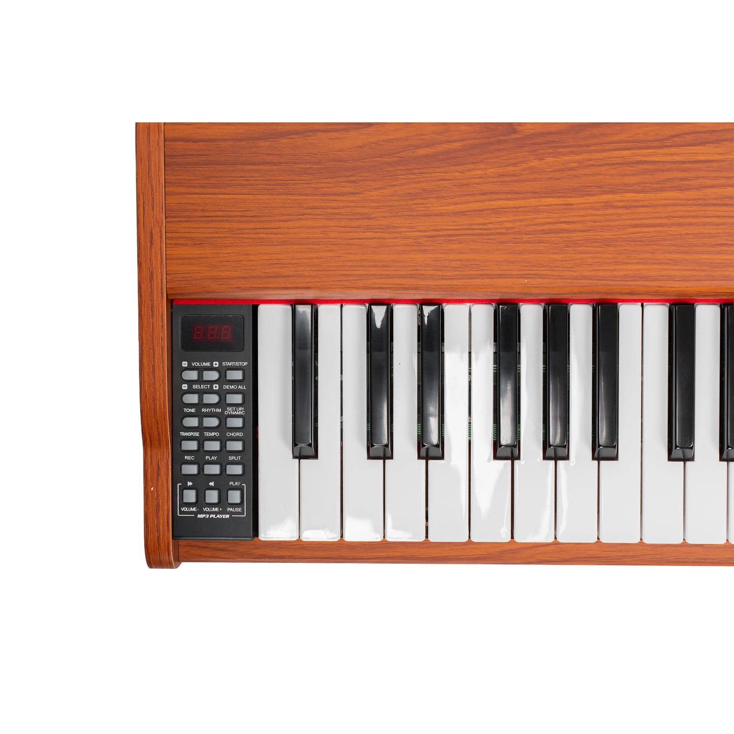 Torrins 88 Keys Multi-Function Digital Keyboard Piano| 88005C | 900 Sounds, 700 Rhythms, 110 Demo Songs, Bluetooth, USB, MIDI | Beginner to Intermediate Learning Keyboard