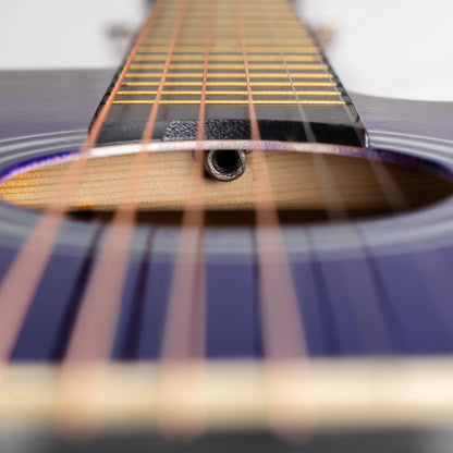 Torrins Beginner Series Acoustic Guitar: T38 -Violet | Glossy Finish