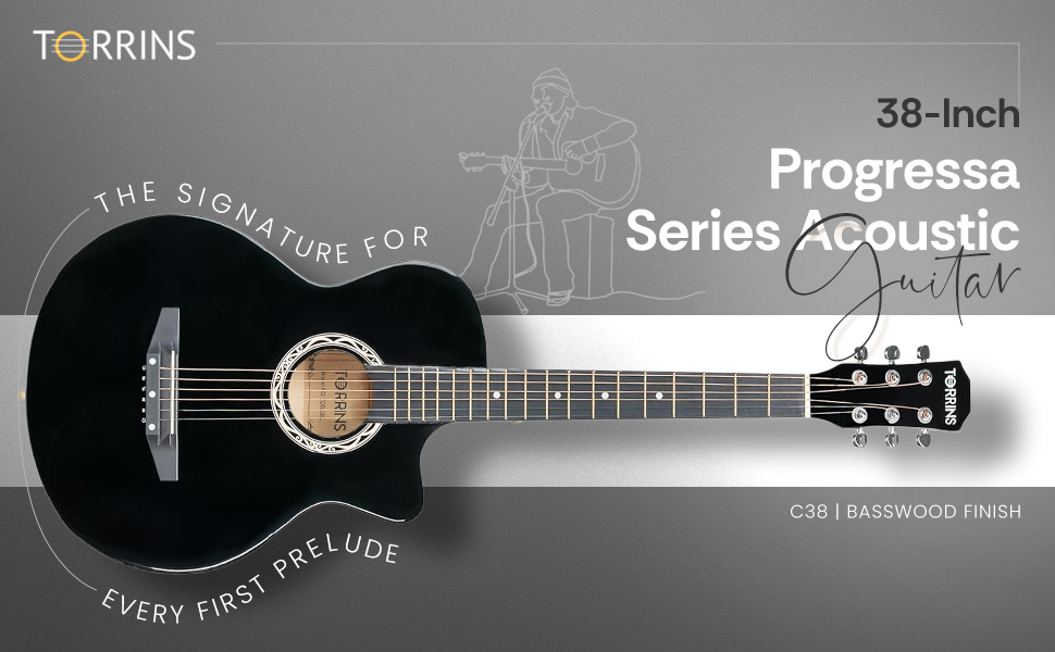 Torrins Progressa Series Guitar: C38