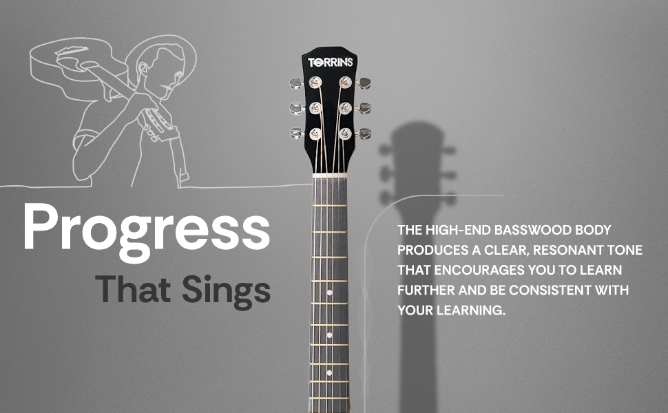 Torrins Progressa Series Guitar: C38