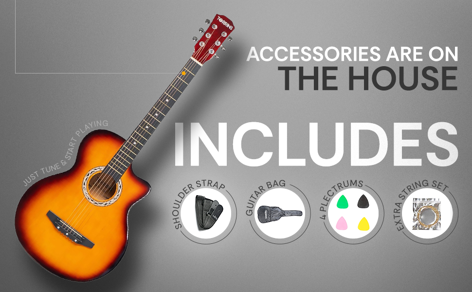 Torrins Progressa Series Guitar: C38