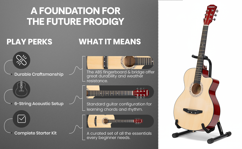 Torrins Progressa Series Guitar: C38