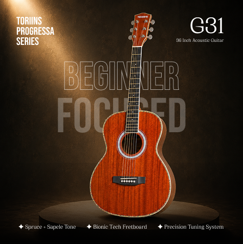 Torrins Progressa Series Acoustic Guitar: GS31