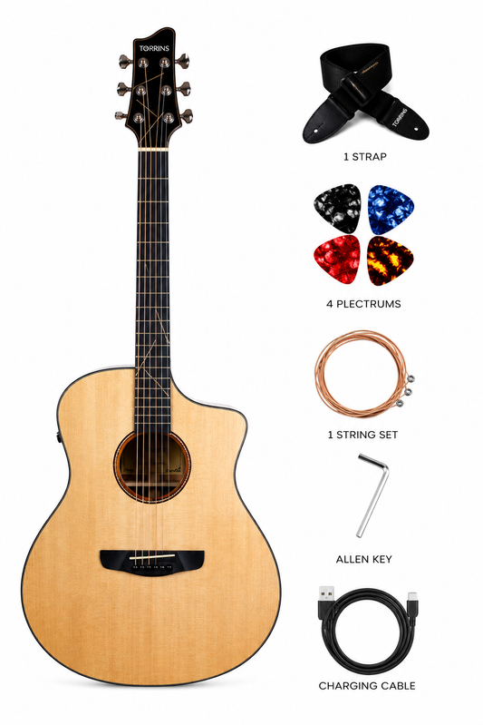 Torrins Solid Top Guitar
