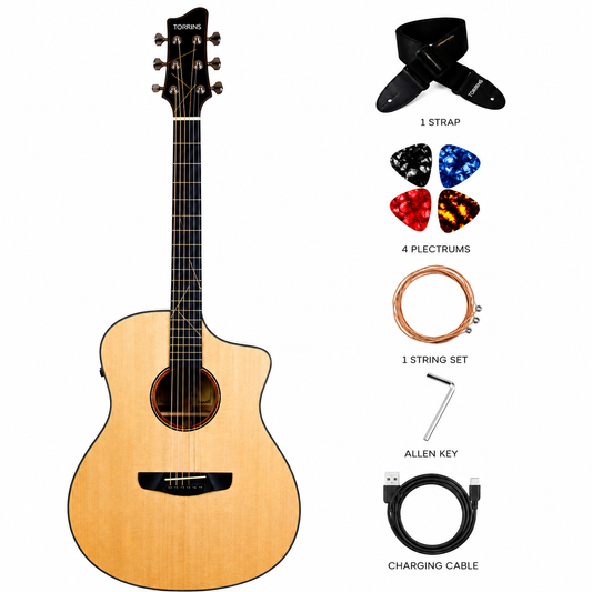 Torrins Elevate Series Solid Top Guitar STG